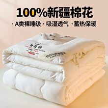 ˮ�ǼҼ�a��½��޻���100%ȫ�޻���о�Ӻ���p�˴��ﶬ����ĸ��