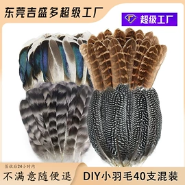 羽毛、羽绒;除尘掸