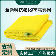 常州批发厂家定制防乌鸦网 4mm方格网 防护网PE防鸟网