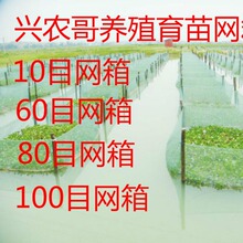 10Ŀ100Ŀ�Bֳ�W�� ���q�S�X���r�W�з�W���B�~ ˮ�ξW����ӾW