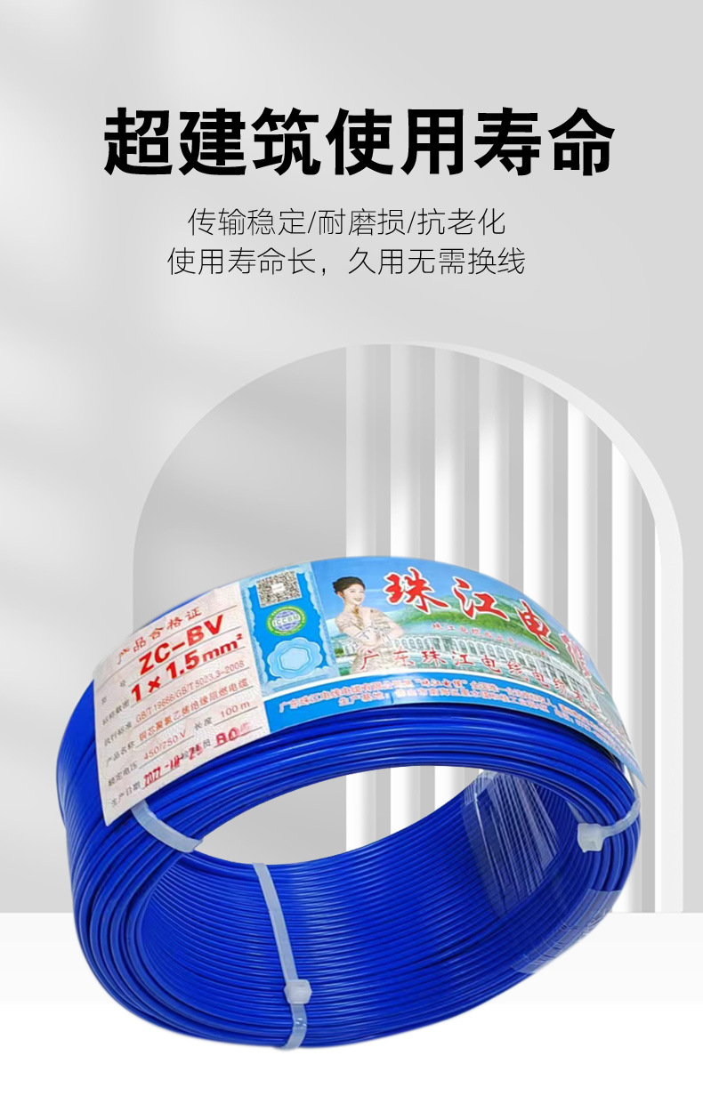 广东珠江BV_07.jpg