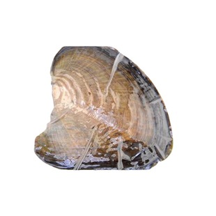 ���ǰ�����С�Ӱ���հ��bһ��һ��ˮ����������֧�ֶ��n