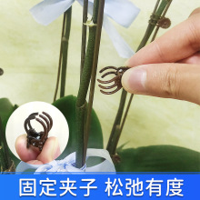 �����m���܊A��ֲ�����ٹ̶��A�@ˇ�m���A�����F�z����������ֲ��