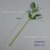 Mid -rose rod sticky leaf