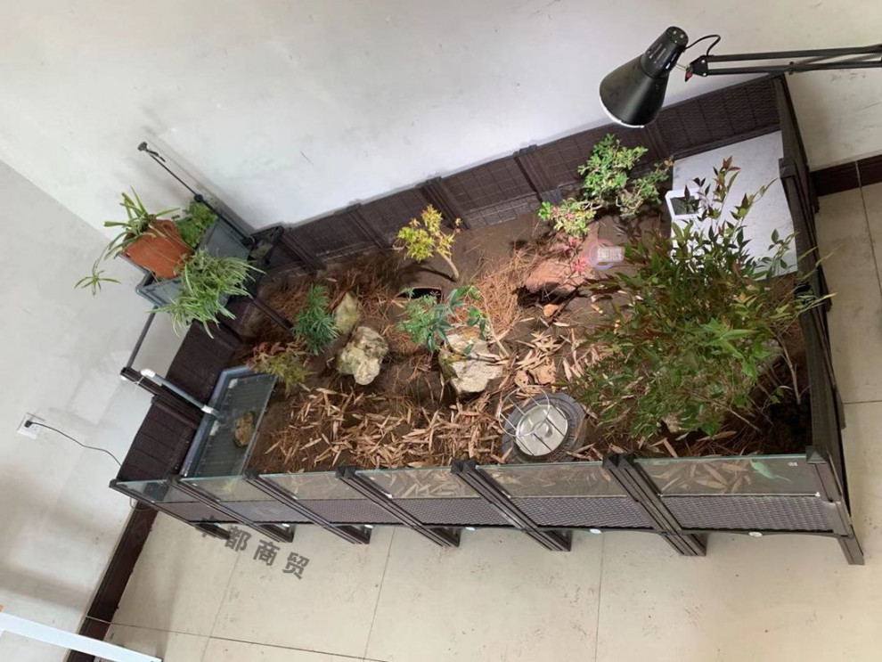 69190be8-0b24-4b57-b467-e14207520882.jpe