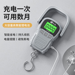 高精度携帯電子秤家庭用携帯用精密フック