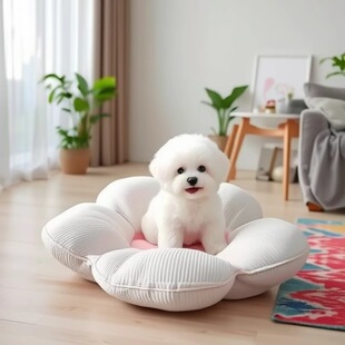 ���N���܌�����Ȯ���w��豭Ȯ����С�����pȮ����С���������l