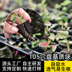 105穴盤炭素綿quickple保水通気黒綿土基礎綿植物栽培基地組培回転