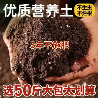 营养土通用型园艺绿植多肉花卉植物种植土壤养花种菜花土专用土