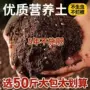 植物通用型多肉养花土