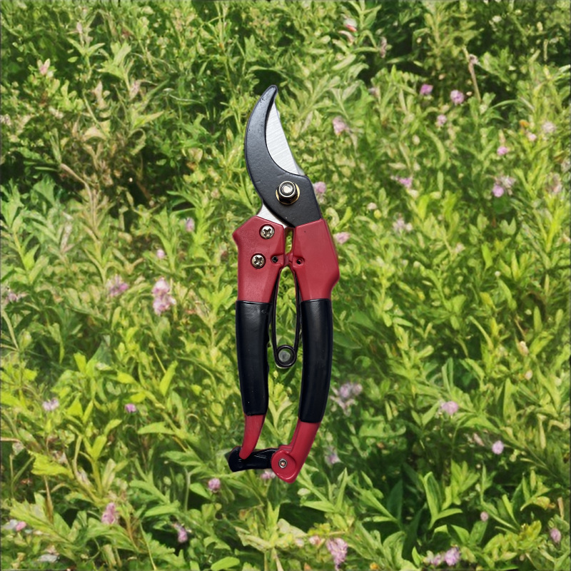 厂家直销高质量园林剪修枝剪树枝剪果枝剪摘果剪   欢迎选购