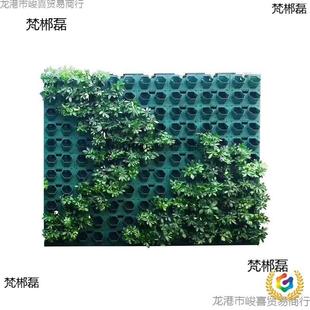 ?ֲ��Nֲ���{��@���̨��ֱ�G������ֲ��Ǡ��ڻ�����䳲��