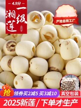 ����ɏ�������خa��̶��ɏ�Ӹ�؛ȥоɏ�� 500g�oоȡоĥƤ��ɏ