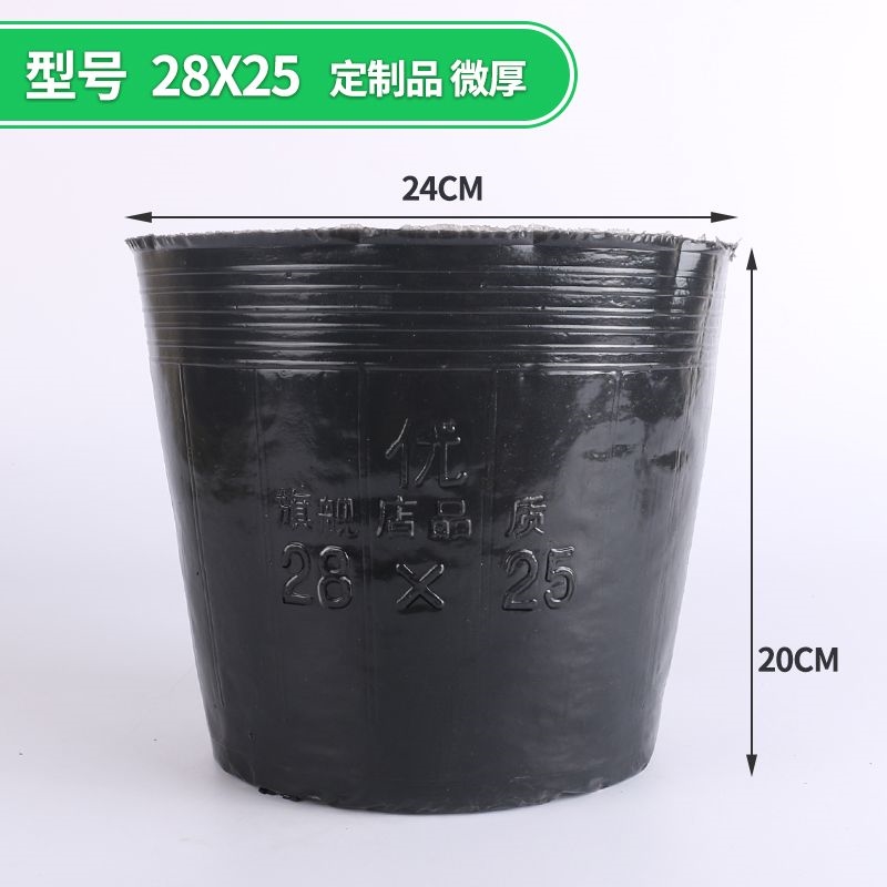 28*25 (diameter 24, height 20) 100 pieces