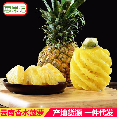 云南香水菠萝10斤新鲜当季水果凤梨手撕小波萝现摘应整箱批发