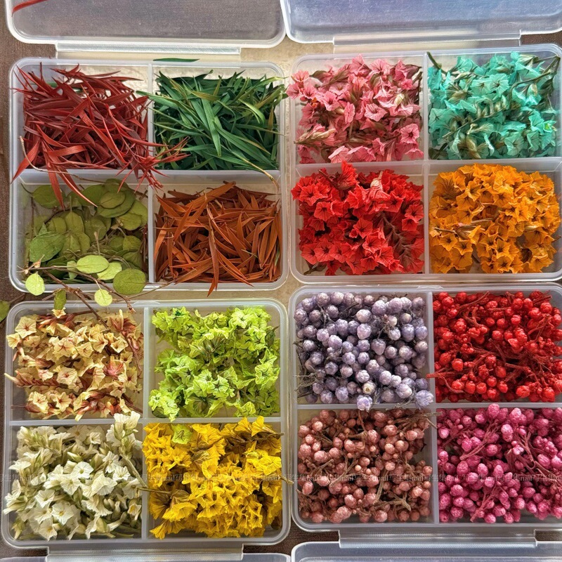 Spring Flower Oil Painting Illustration Flower Art Nail Art Jewelry Large Capacity Three-dimensional Dried Flower Jewelry Nail Art Patch