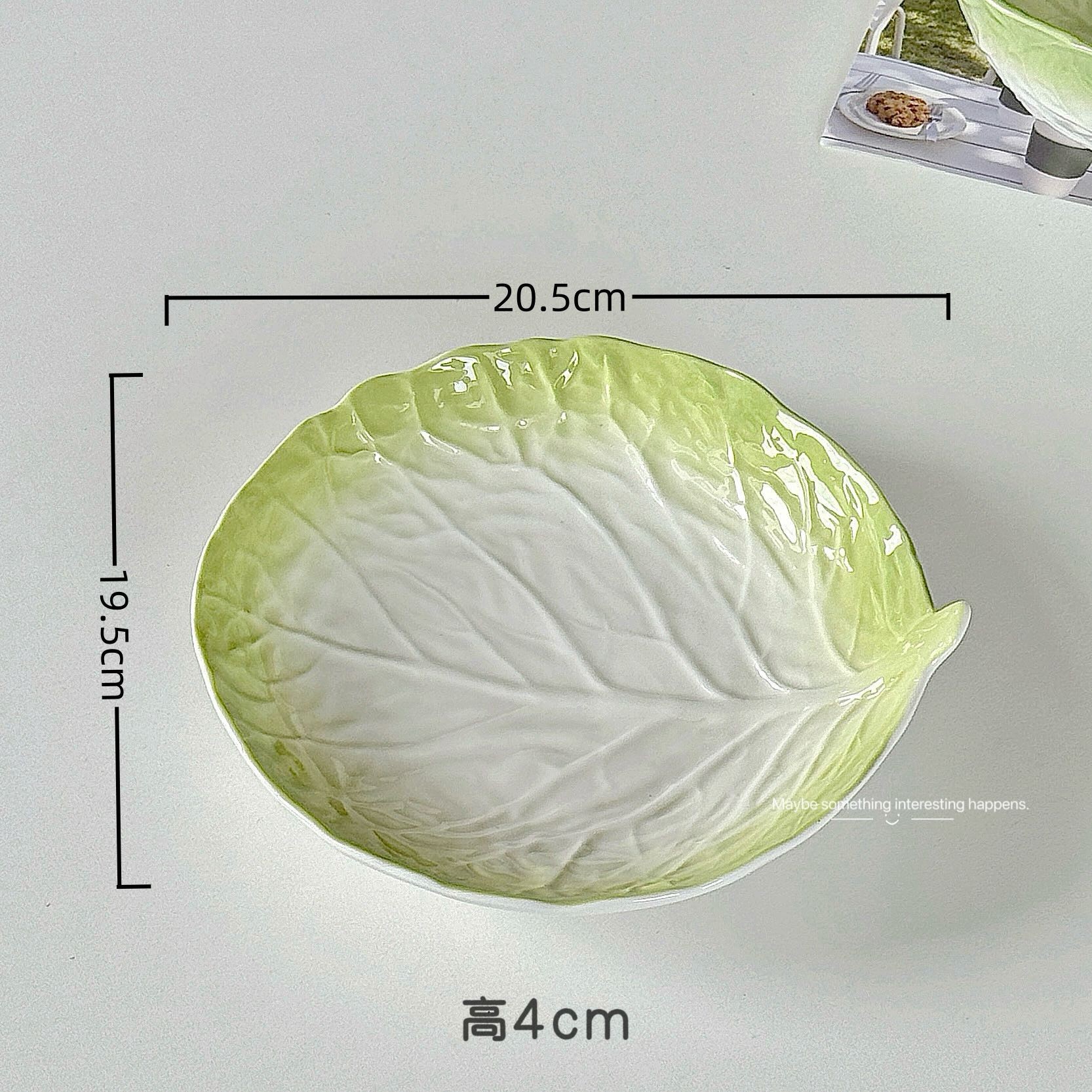 양배추 - 8inch 모양 접시