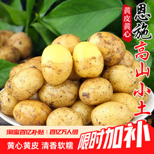 ���ڶ�ʩС����10����]���rʿ���S���Ϸ������߲������R�������