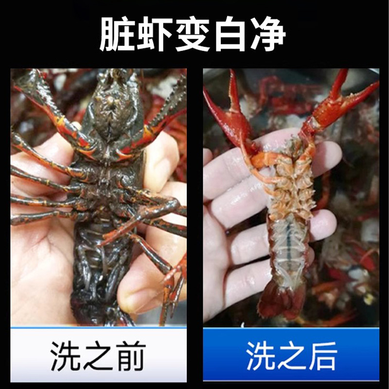ザリガニブラシ、長柄カップブラシ、多目的洗浄ブラシ、豆乳マシンブラシ、壁破壊機、行き止まりのないクリーニングツール|undefined