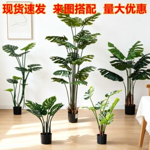 ���W�L���������~�҃ȿ͏d����bپGֲ�Ƶ������쾰����������
