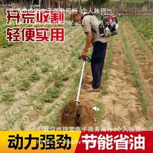 ě_̱ؓʽʸݙCСͼóݙCrö๦ܸC