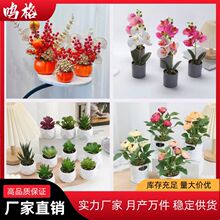 仿真多肉植物diy年宵花柿子福桶金色尤加利套装盆栽跨境热销