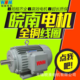 皖南电机YJZ2机床专用三相异步电动机特种专用1.5kw2.2kw4kw5.5kw