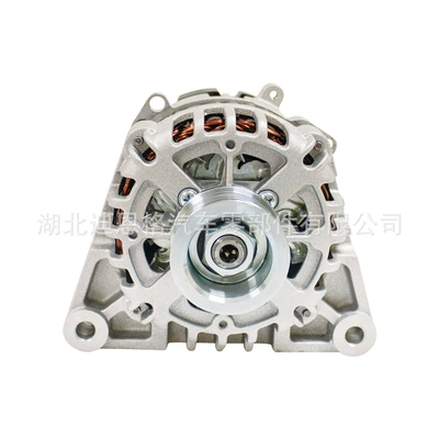 Generatorlar hissələri (Dinamo və detalları) 2655300 Charger