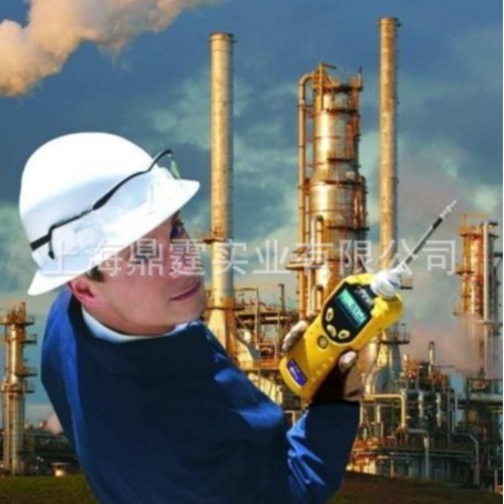 ToxiRAE Pro EC PGM-1860 ����������  �����