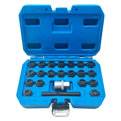 22-Piece Bmw Anti-Theft Screw: Mühərrik tənzimləmə alətləri