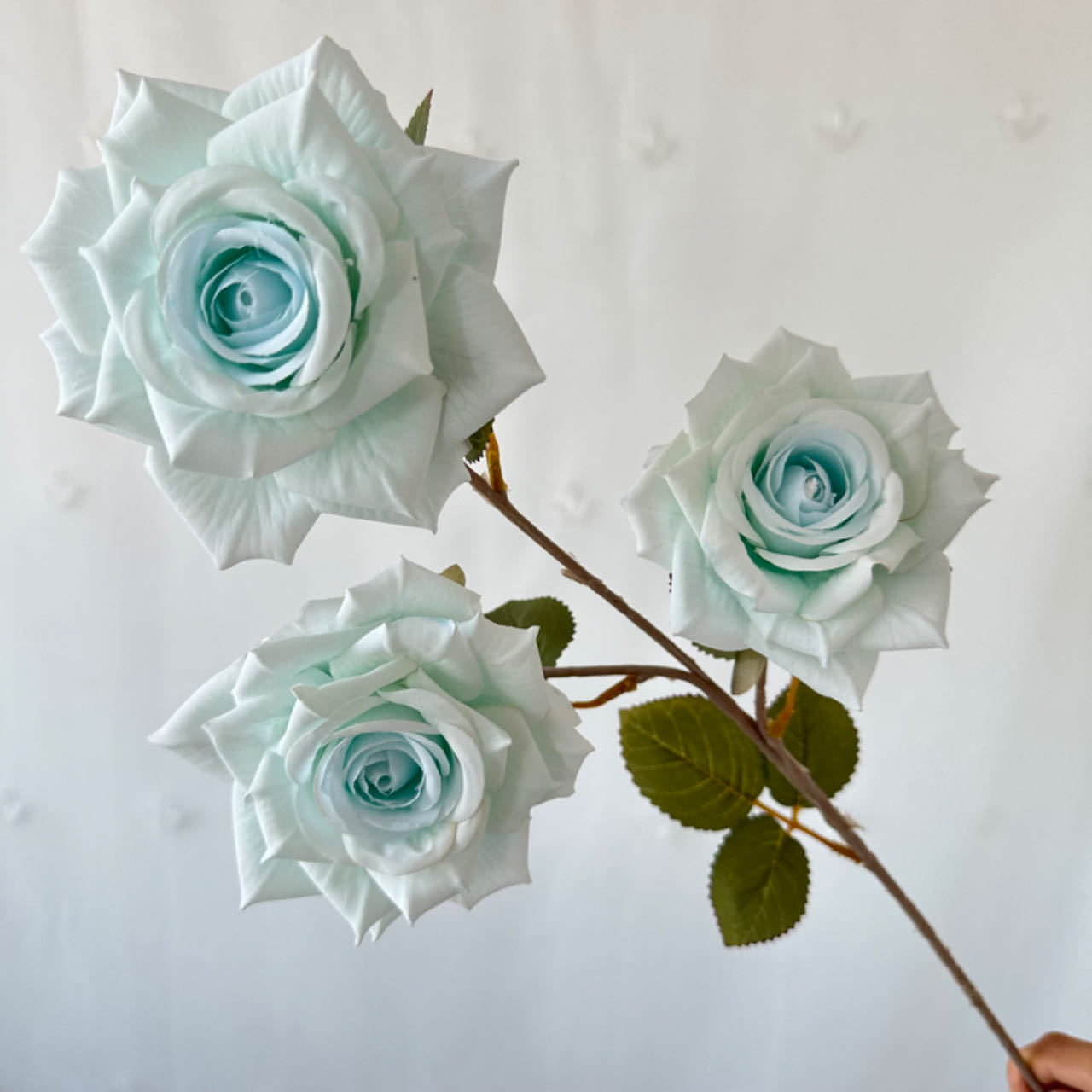 Couleur de Tiffeni