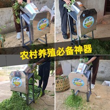 늄вݙC厲ݙCϴCuiBֳϼӹO