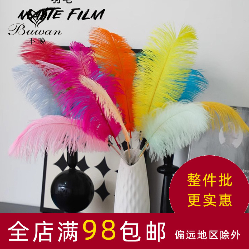 不晚资材花店花束装饰配件白色鸵鸟羽毛网红花束包装材料包花羽毛