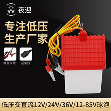 LED低压房子灯 12W18W夹线灯泡户外野营应急灯夜市地摊球泡灯批发