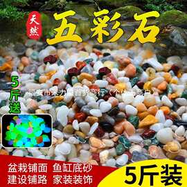 天然雨花石原石鱼缸底砂火山石造景小石头装饰彩色石子五花石龟缸