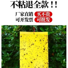 SpճxERNS{wxСw@մωTճ