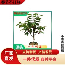 �O����ľ����1-5���ּ޽ӹ���������O�������O��������Ҙ����