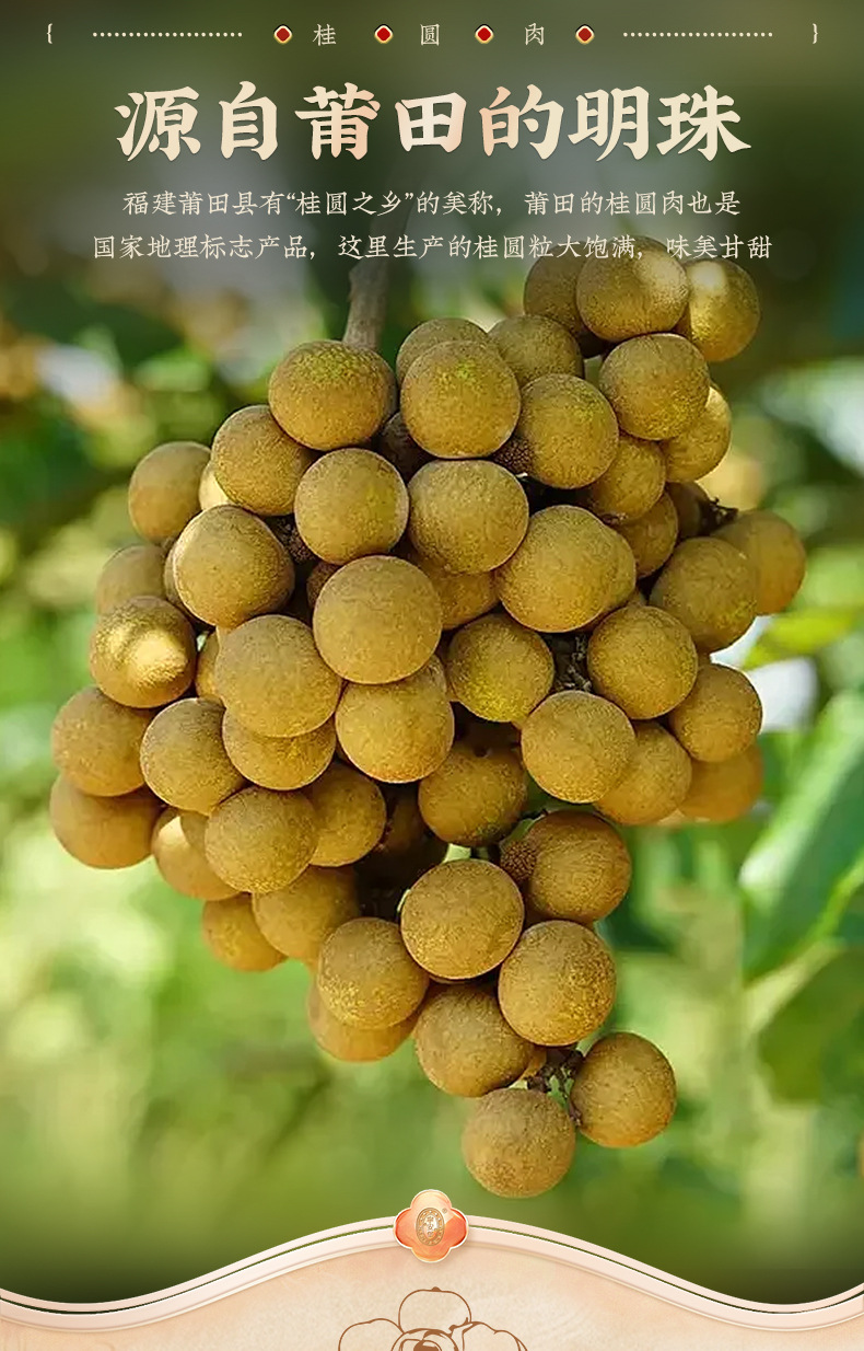 Dried Seedless Peeled Longan Flesh Gui Yuan Rou 250g Fujian Longan Dried Fruit key features