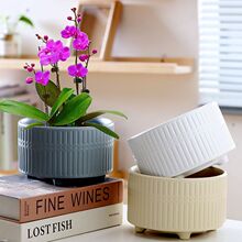 �����մ��؃r��}���бP����ֵ�p�ݸк����m�¼���������⻨��