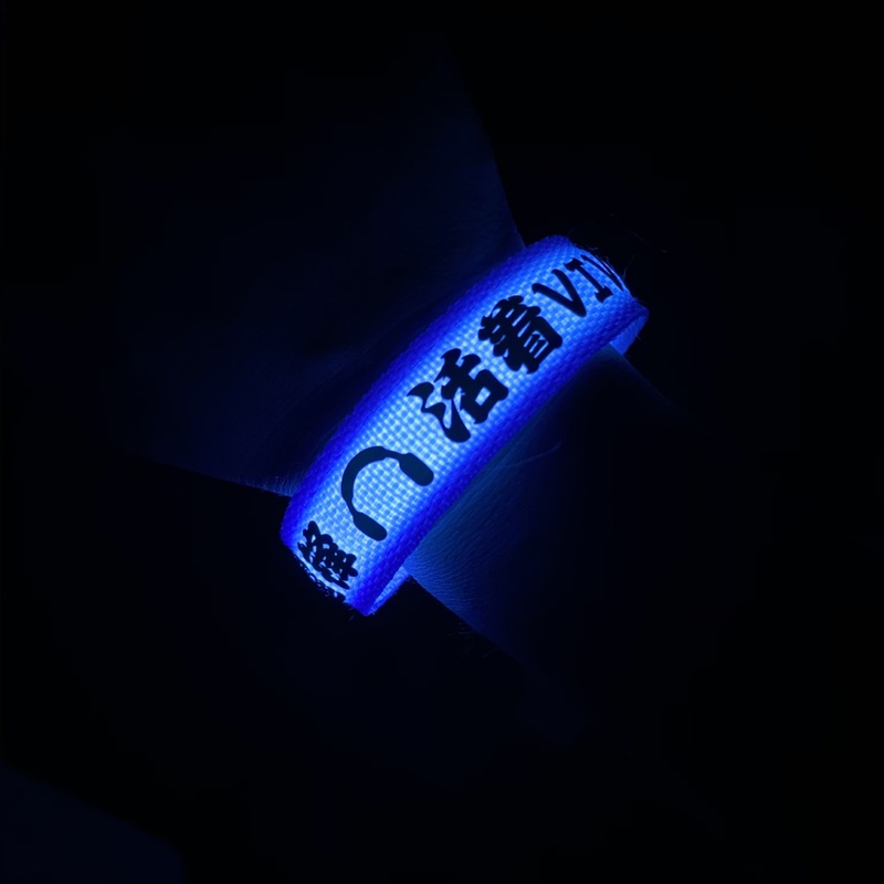 谢霆锋应援手环Evolutio进化演唱会周边发光手环明星应援手腕带|undefined