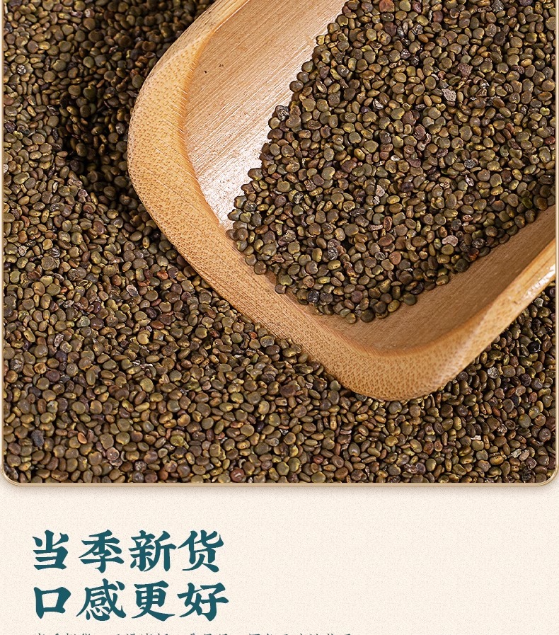 Sha Yuan Zi Astragalus Seed 50g Jar Dried Flattened Milkvetch Seeds for Herbal Tea and Decoction in use
