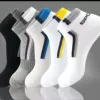 KD449 Men's short socks [SPORT]