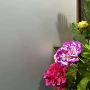 蒙砂酸洗油砂隔断玻璃