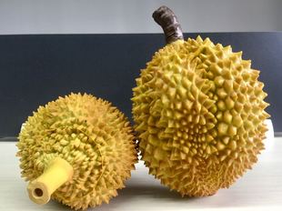 Fake Display Model Fruit Shop Plastic Hami Artificial Pillow Photography Model Fruit Durian Durian Props
