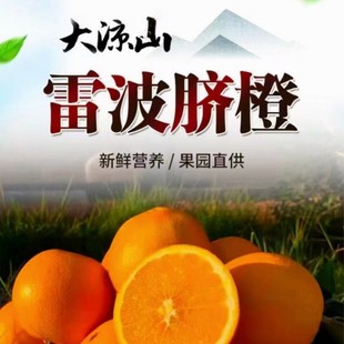 【产地直发】四川大凉山雷波脐橙现摘先发新鲜脐橙礼盒送礼脐橙-阿里巴巴