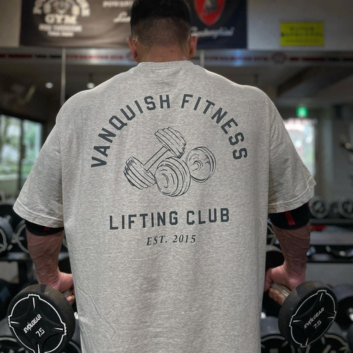 VQ sports fitness style short-sleeved large size t-shirt men's running casual cotton European and American hip-hop workout clothes dropshipping