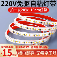 ��ճled��220v�����Շ����l؛��չ�������b��ͷ�ˮ���z��