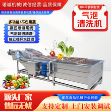 青梅大枣清洗机 大型花椰菜气泡清洗机 芹菜萝卜果蔬清洗机