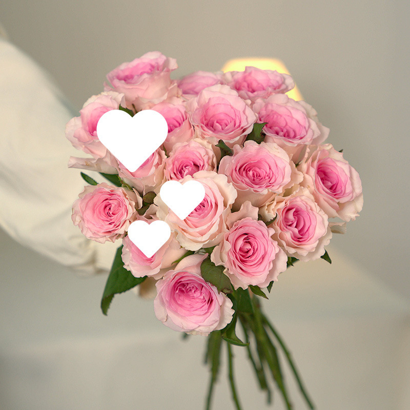 玫瑰花鲜花云南昆地批直发百合向日葵红豆家用鲜切水养插绢花|undefined