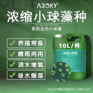 С������N��s�G�������N�Gˮ�ͺ���Nˮ�a�Bֳ�~�����B����ˮ